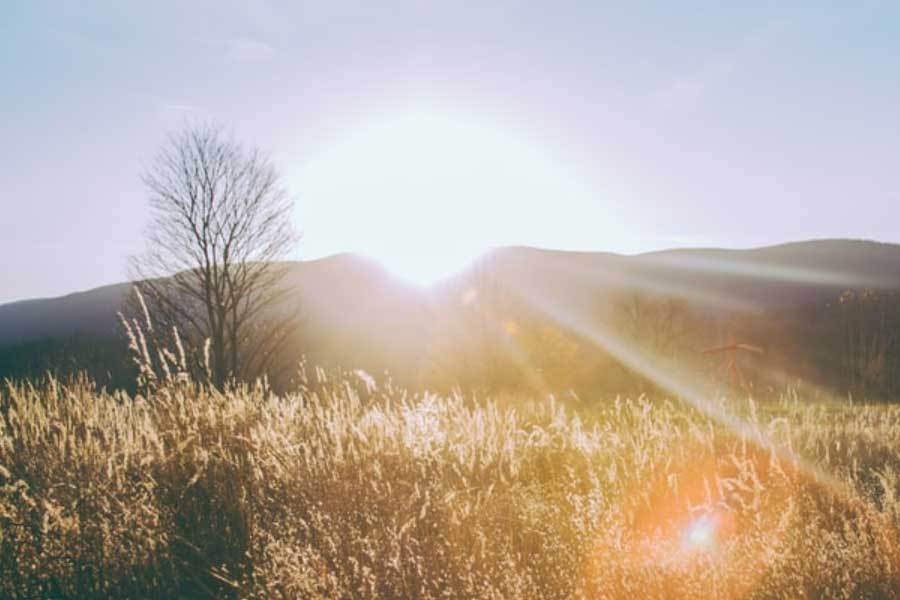 中国电竞战队世界赛夺冠